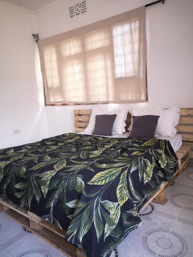 Bed and Breakfast Safari Adventures-House Arusha Esterno foto