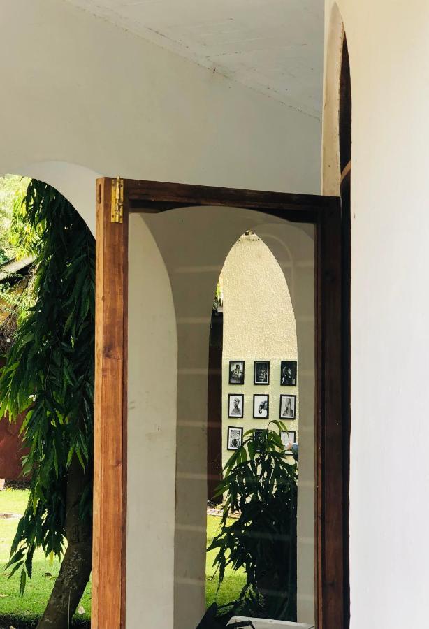 Bed and Breakfast Safari Adventures-House Arusha Esterno foto