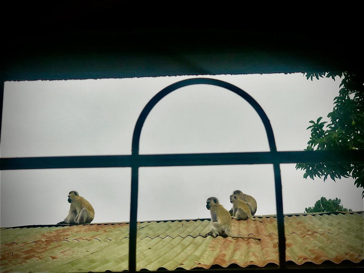 Bed and Breakfast Safari Adventures-House Arusha Esterno foto